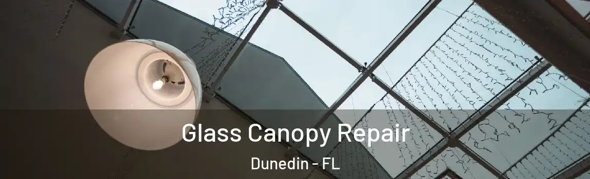  Glass Canopy Repair Dunedin - FL