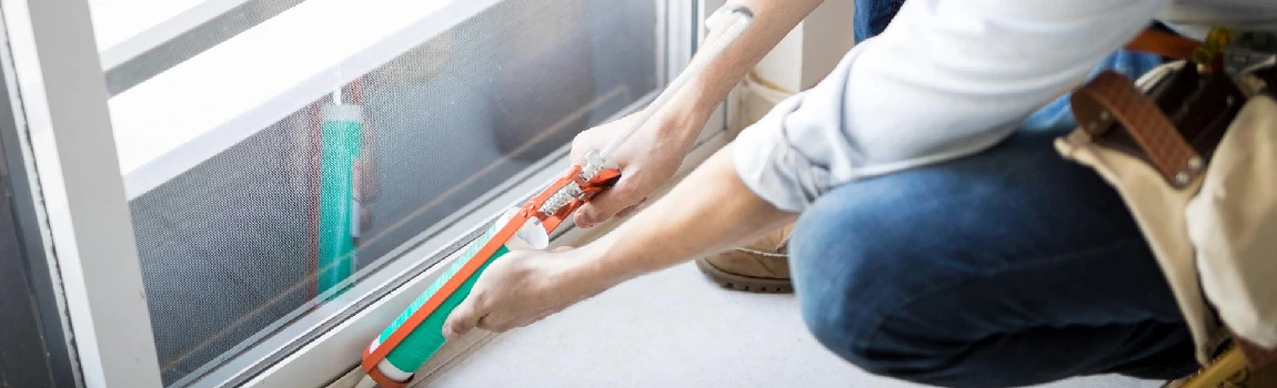 Emergency Window Replacement Services in Dunedin, FL