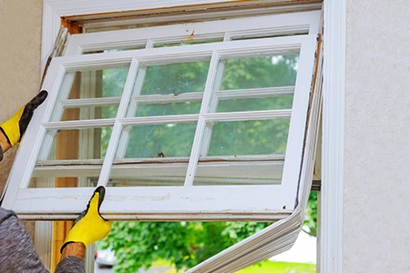 Window Replacement in Dunedin, FL